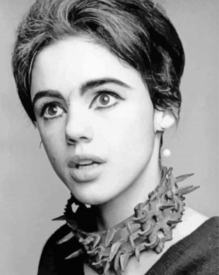 Actress Edie Sedgwick Paint By Numbers