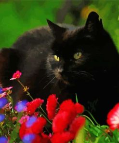 Aesthetic Black Cat And Flowers Paint By Numbers