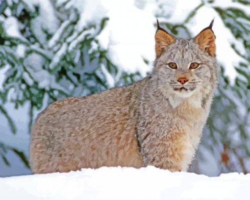 Aesthetic Canada Lynx Paint By Numbers