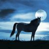 Alone Horse At Night Paint By Numbers