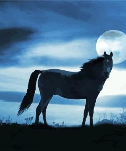 Alone Horse At Night Paint By Numbers