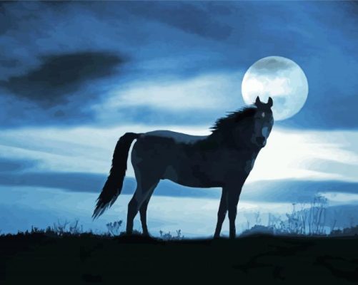 Alone Horse At Night Paint By Numbers