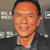 American Actor Wes Studi Paint By Numbers
