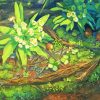 Anime Plants Paint By Numbers