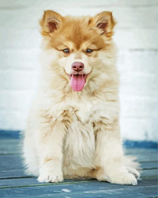 Beige Finnish Lapphund Paint By Numbers