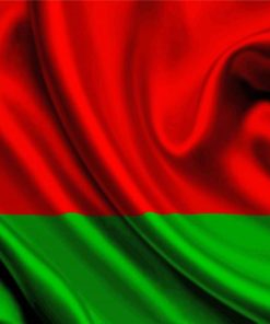 Belarusian Flag Paint By Numbers