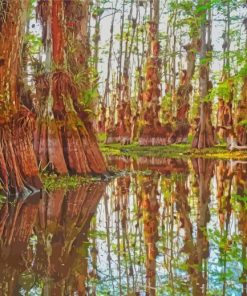 Big Cypress Florida Paint By Numbers