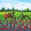 Bike In Field Paint By Numbers