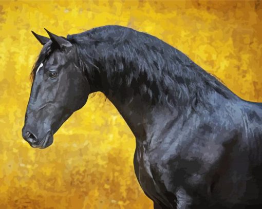 Black Lusitano Horse Paint By Numbers