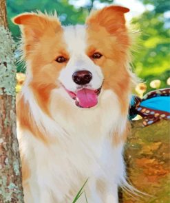 Blonde Border Collie Dog Paint By Numbers