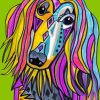 Colorful Afghan Hound Paint By Numbers
