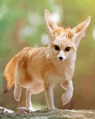 Fennec Fox Animal Paint By Numbers