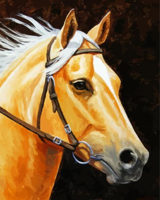 Golden Mare Horse Head Art Paint By Numbers