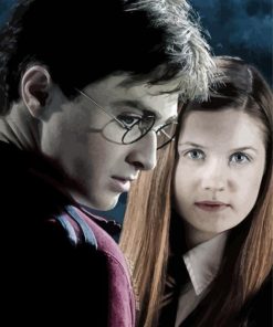 Harry Potter And Ginny Paint By Numbers