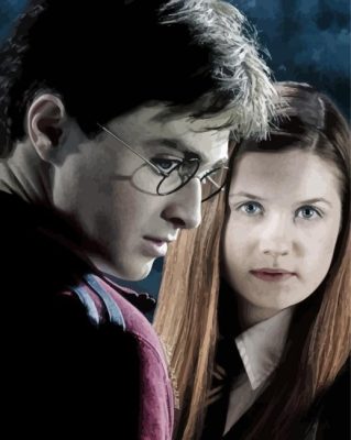 Harry Potter And Ginny Paint By Numbers