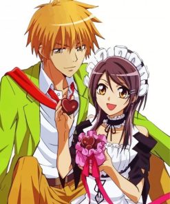 Kaichou Wa Maid Sama Takumi And Misaka Paint By Numbers