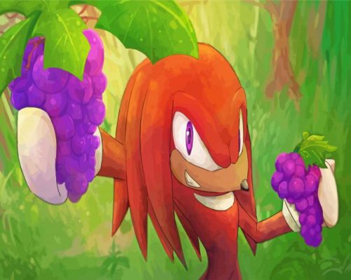 Knuckles The Echidna And Grapes Paint By Numbers