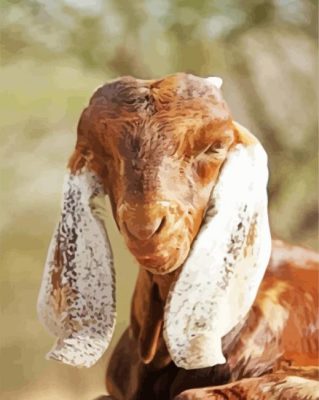 Long Eared Goat Paint By Numbers