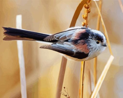 Long Tailed Tit Bird Paint By Numbers