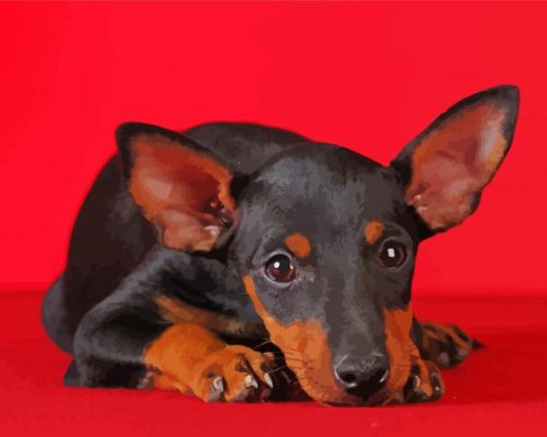 Manchester Terrier Puppy Dog Paint By Numbers