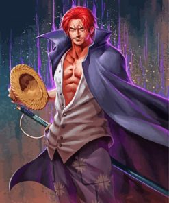 One Piece Shanks Paint By Numbers