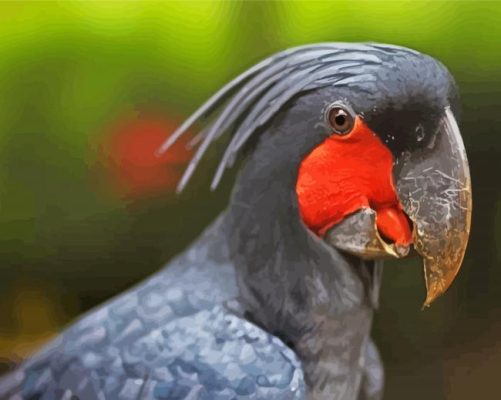 Palm Cockatoo Bird Paint By Numbers