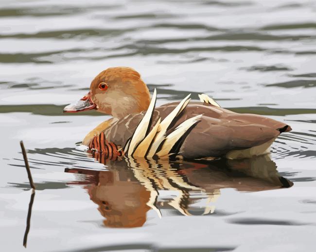 Plumed Whistling Duck Paint By Numbers