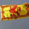 Rampant Lion Flag Paint By Numbers