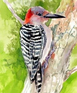 Red Bellied Woodpecker Art Paint By Numbers