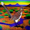 Roadrunner Bird In The Desert Paint By Numbers