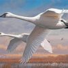 Swans In Flight Art Paint By Numbers