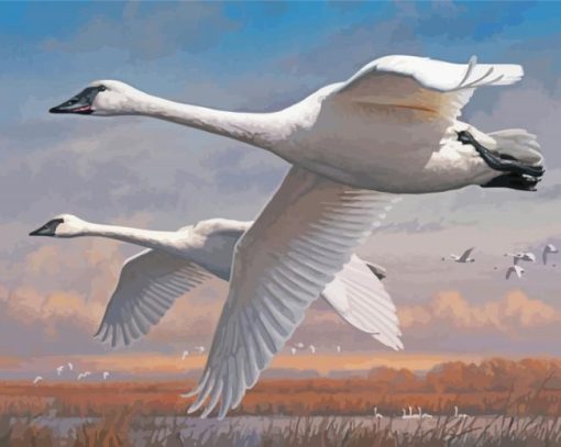 Swans In Flight Art Paint By Numbers
