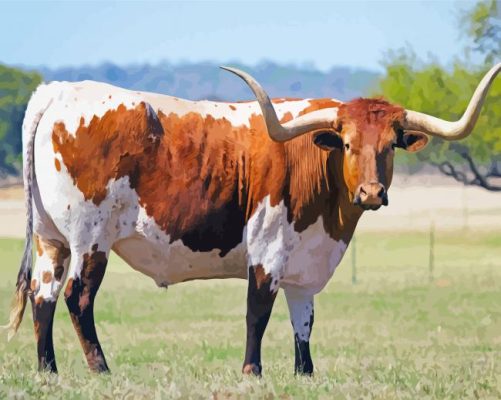 Texas Longhorn Cattle Paint By Numbers