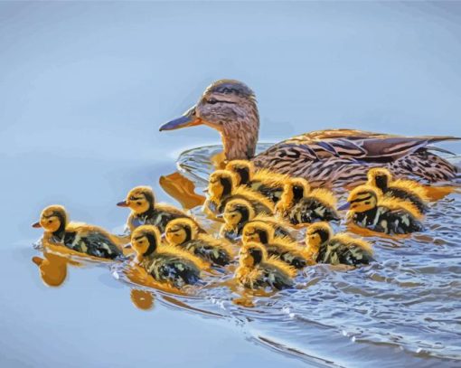 The Mallard Duck And Babies Paint By Numbers