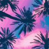 Tropical Palm And Pink Sky Paint By Numbers