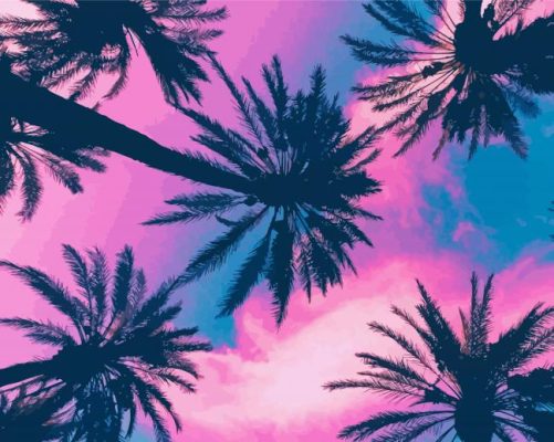 Tropical Palm And Pink Sky Paint By Numbers