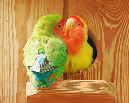 Two Rosy Faced Lovebirds Paint By Numbers