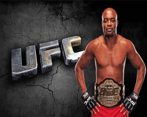 UFC Anderson Silva Paint By Numbers