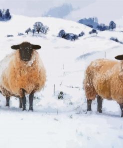 Winter Sheep In Snow Paint By Numbers
