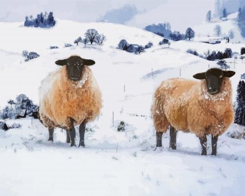 Winter Sheep In Snow Paint By Numbers