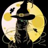 Aesthetic Cat Witch Paint By Numbers