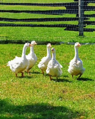 Aesthetic Geese In The Garden Paint By Numbers