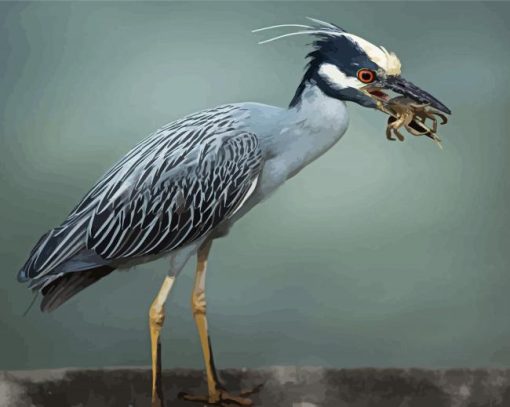 Aesthetic Grey Heron Bird Paint By Numbers