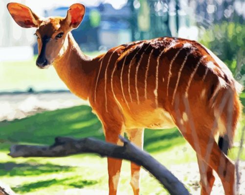 Aesthetic Nyala Paint By Numbers