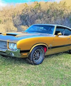 Aesthetic Oldsmobile 442 Paint By Numbers