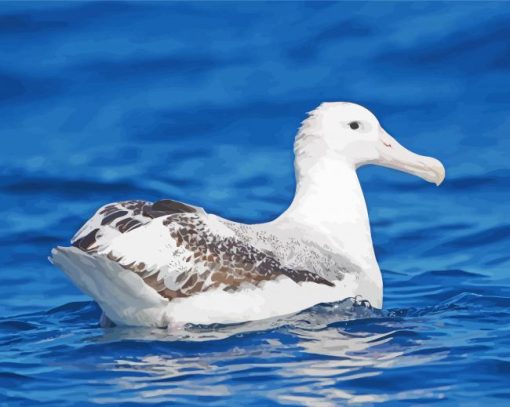 Albatross Bird In Sea Paint By Numbers