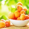 Apricot Bowl Paint By Numbers