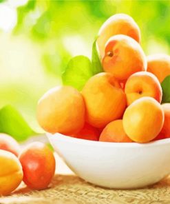 Apricot Bowl Paint By Numbers