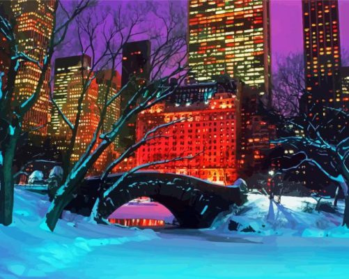 Christmas Night Winter Central Park Paint By Numbers