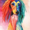 Colorful Saluki Art Paint By Numbers